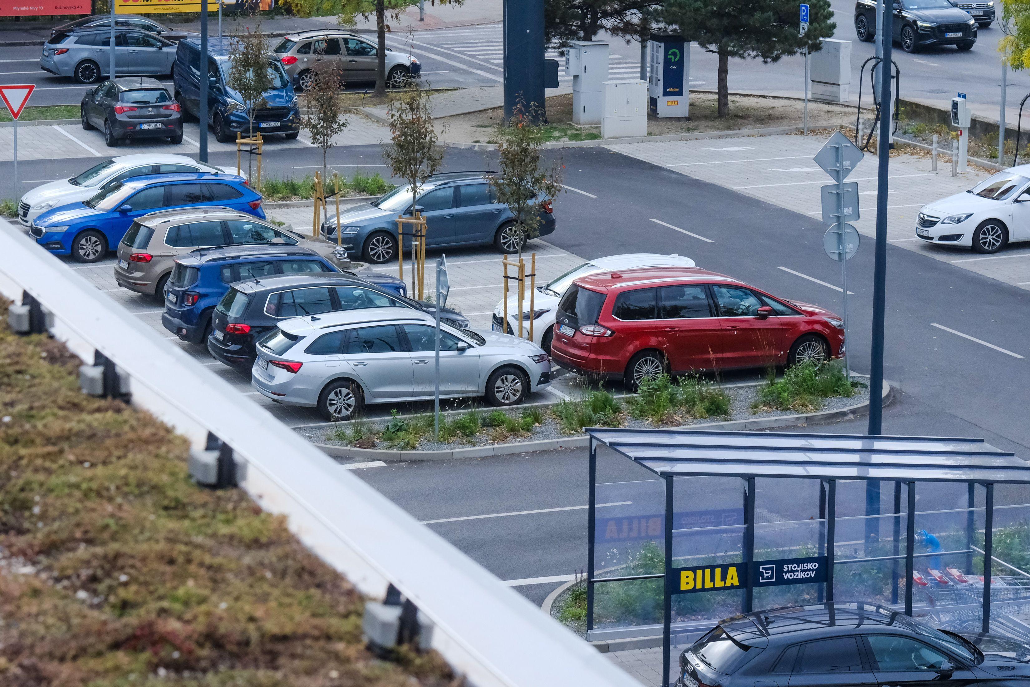 detail pohľadu na parkovisko Billa s trvalkami